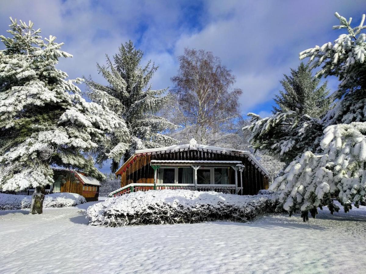 Chalets Des Trois Hetres Plombières-les-Bains Kültér fotó